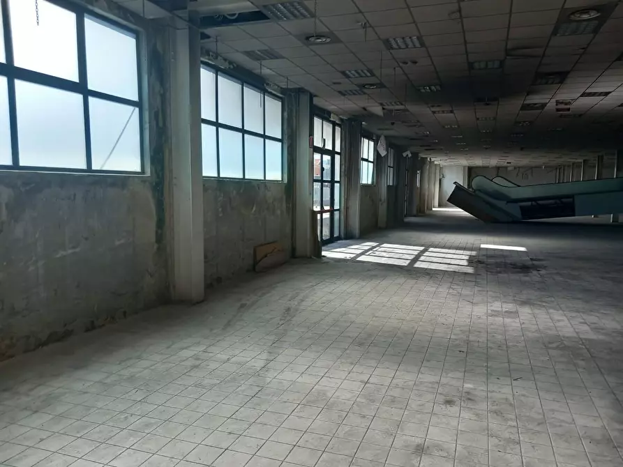 Immagine 6 di Locale commerciale in affitto  a Livorno