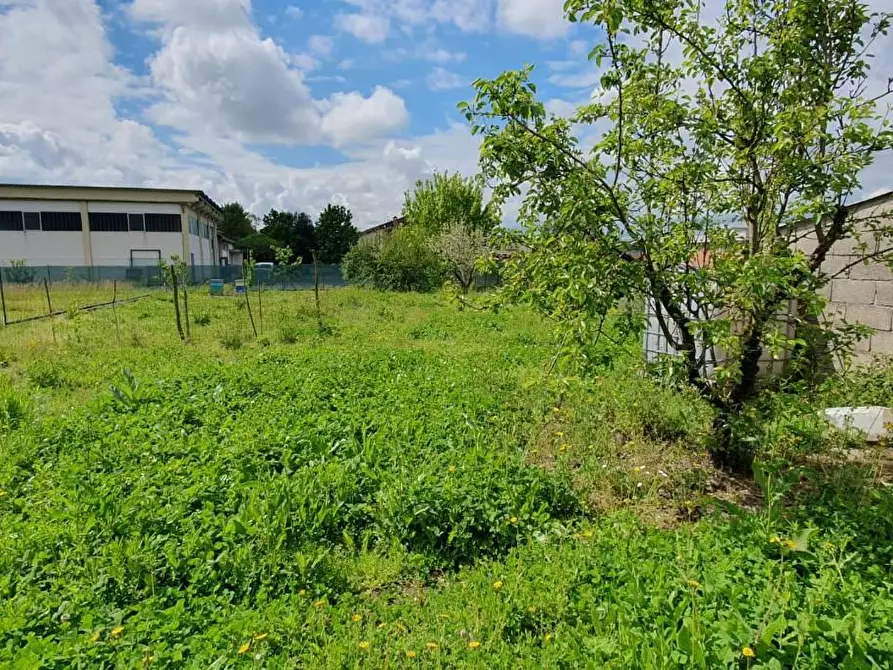 Immagine 7 di Terreno residenziale in vendita  a Capannori