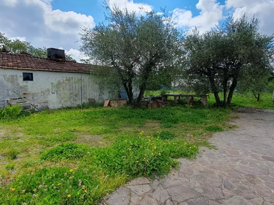 Immagine 9 di Terreno residenziale in vendita  a Capannori