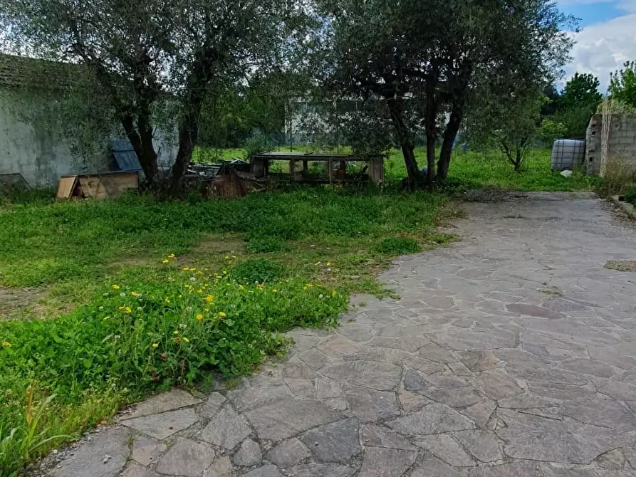 Immagine 8 di Terreno residenziale in vendita  a Capannori