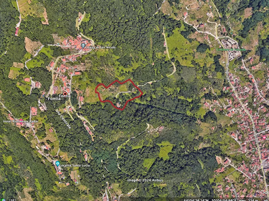 Immagine 3 di Terreno agricolo in vendita  a Carrara