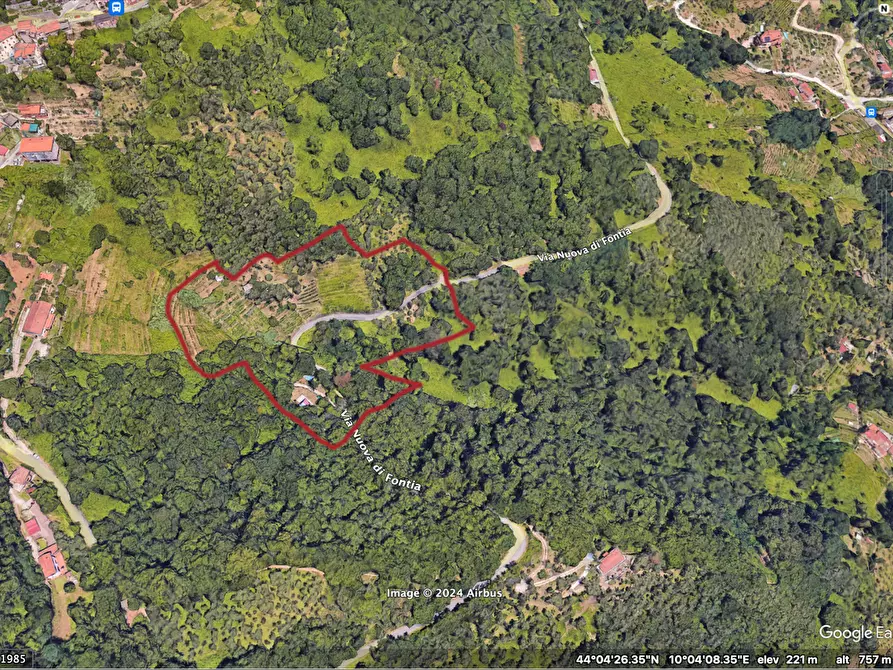 Immagine 2 di Terreno agricolo in vendita  a Carrara