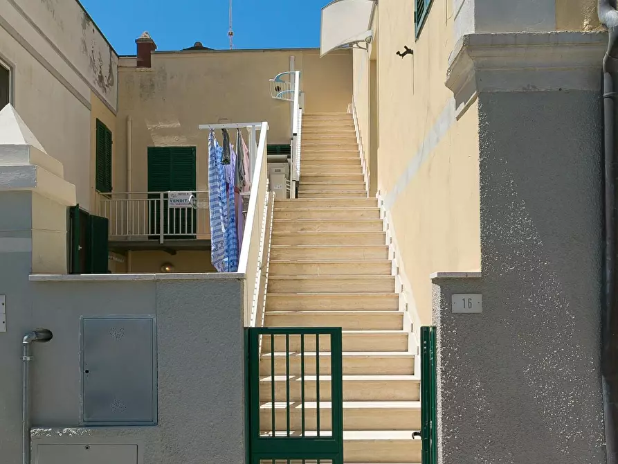 Immagine 4 di Appartamento in affitto  a San Vincenzo