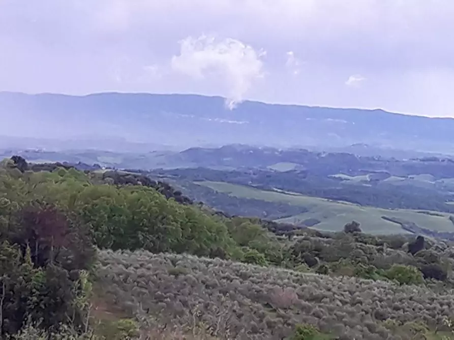 Immagine 14 di Villa in vendita  a Montaione