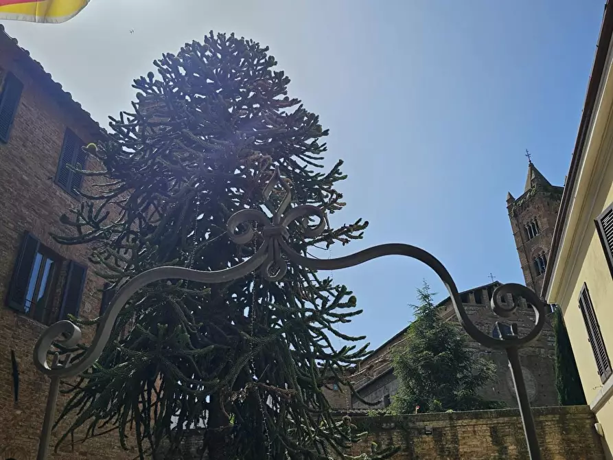 Immagine 35 di Appartamento in vendita  a Siena