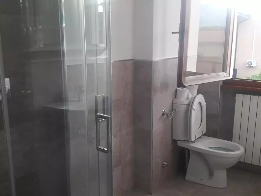 Immagine 21 di Appartamento in vendita  a Pietrasanta