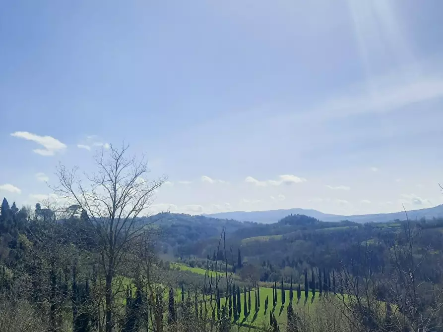 Immagine 23 di Appartamento in vendita  a Terricciola