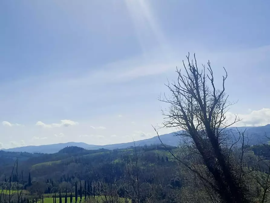 Immagine 21 di Appartamento in vendita  a Terricciola