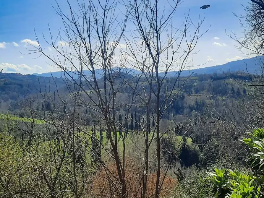 Immagine 25 di Appartamento in vendita  a Terricciola