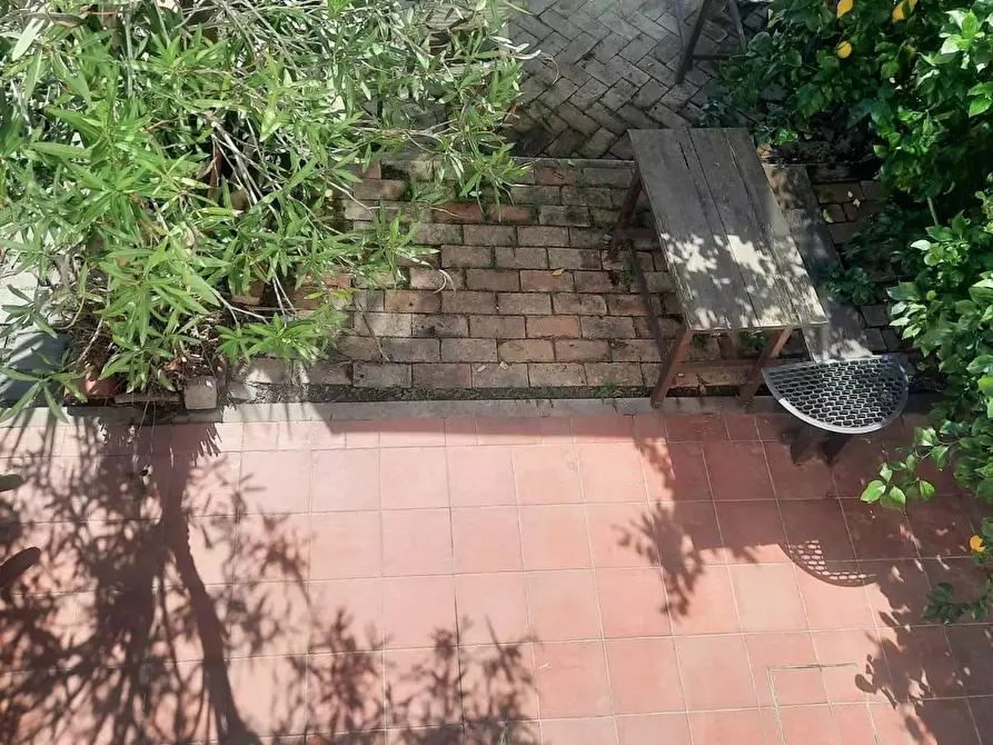 Immagine 22 di Appartamento in vendita  a Terricciola