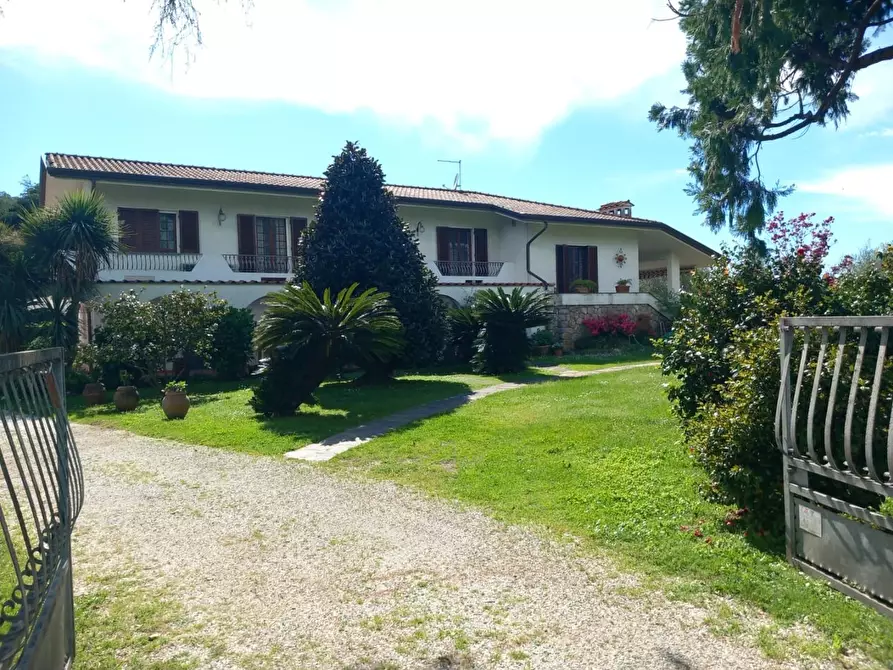 Immagine 1 di Villa in affitto  a Montignoso