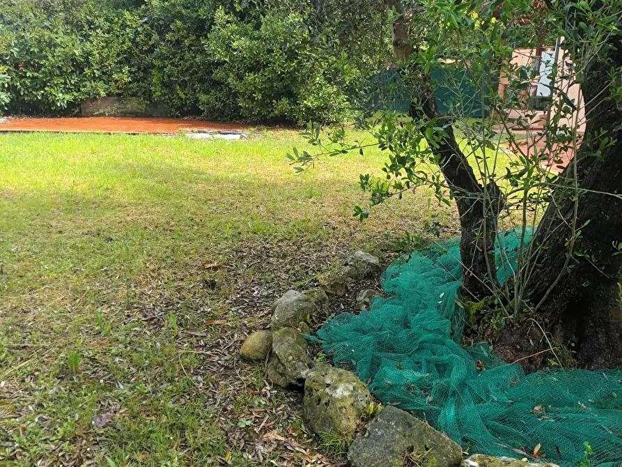 Immagine 5 di Casa trifamiliare in vendita  a Carrara