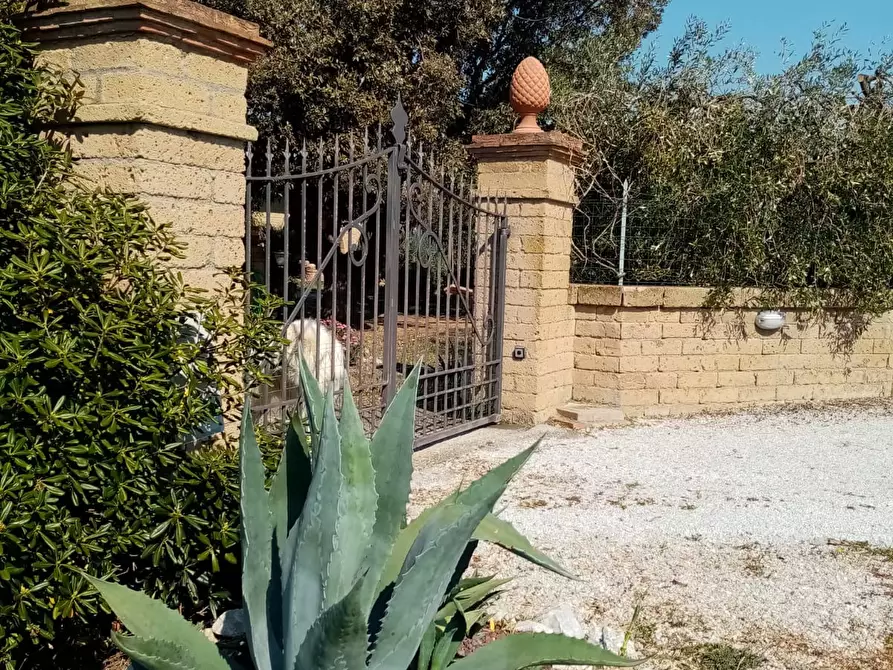 Immagine 2 di Casa indipendente in vendita  a Piombino