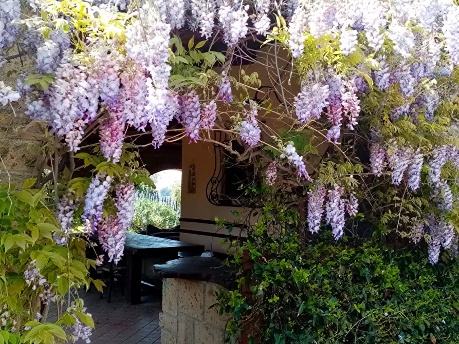 Immagine 5 di Casa indipendente in vendita  a Piombino