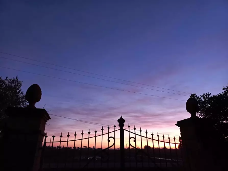 Immagine 33 di Casa indipendente in vendita  a Piombino
