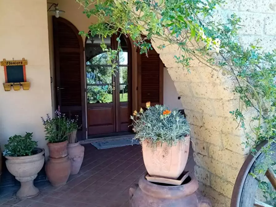 Immagine 7 di Casa indipendente in vendita  a Piombino