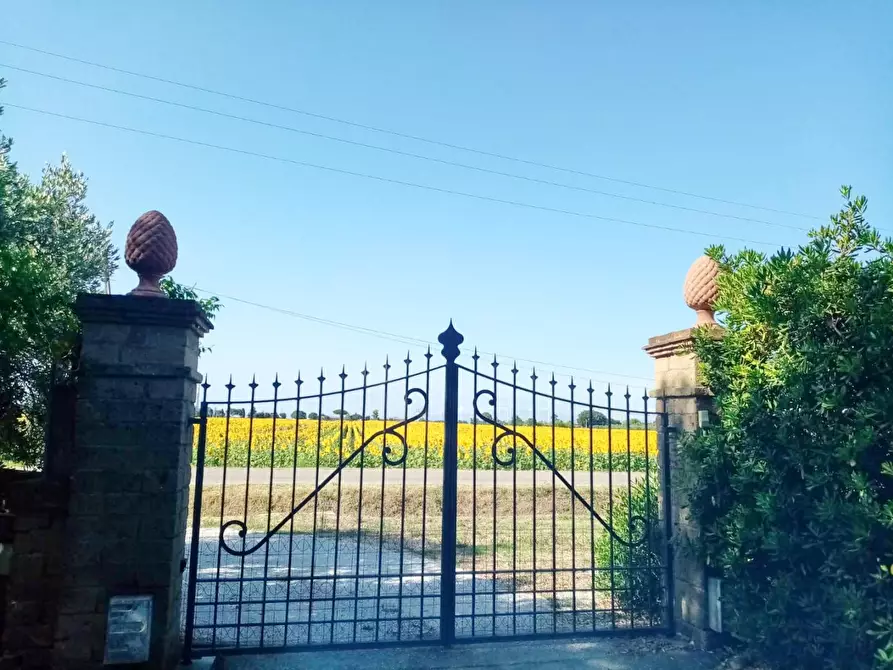 Immagine 30 di Casa indipendente in vendita  a Piombino