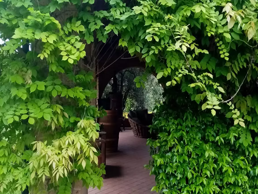 Immagine 26 di Casa indipendente in vendita  a Piombino