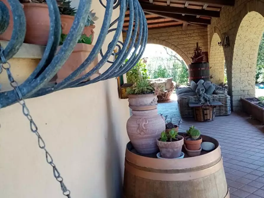 Immagine 8 di Casa indipendente in vendita  a Piombino