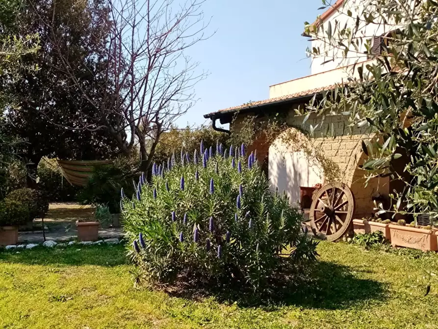 Immagine 3 di Casa indipendente in vendita  a Piombino