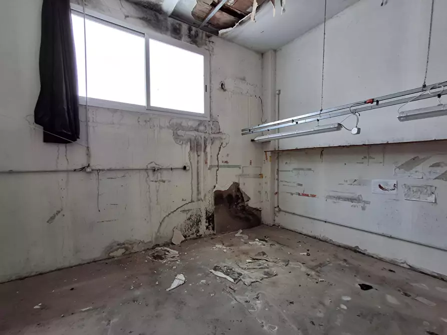 Immagine 9 di Terratetto in vendita  a Capraia E Limite