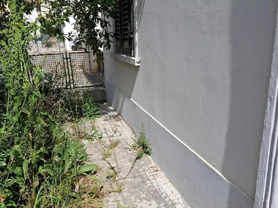 Immagine 2 di Terratetto in vendita  a Capraia E Limite