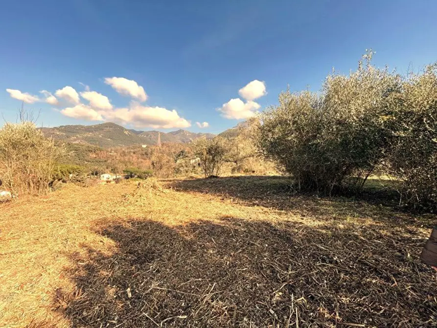 Immagine 20 di Terratetto in vendita  a Camaiore