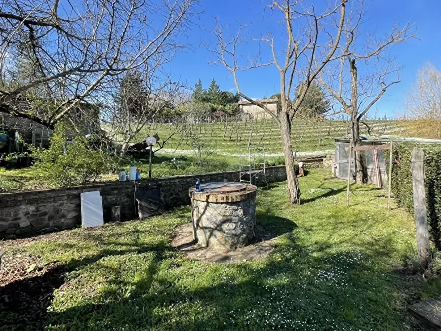 Immagine 25 di Casa colonica in vendita  a Siena