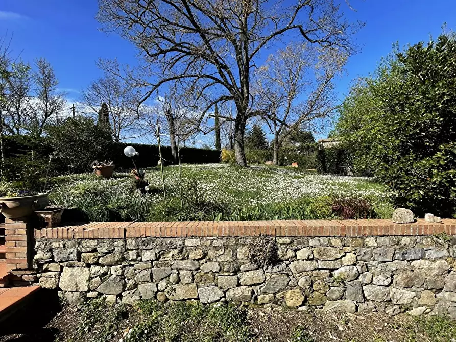 Immagine 20 di Casa colonica in vendita  a Siena