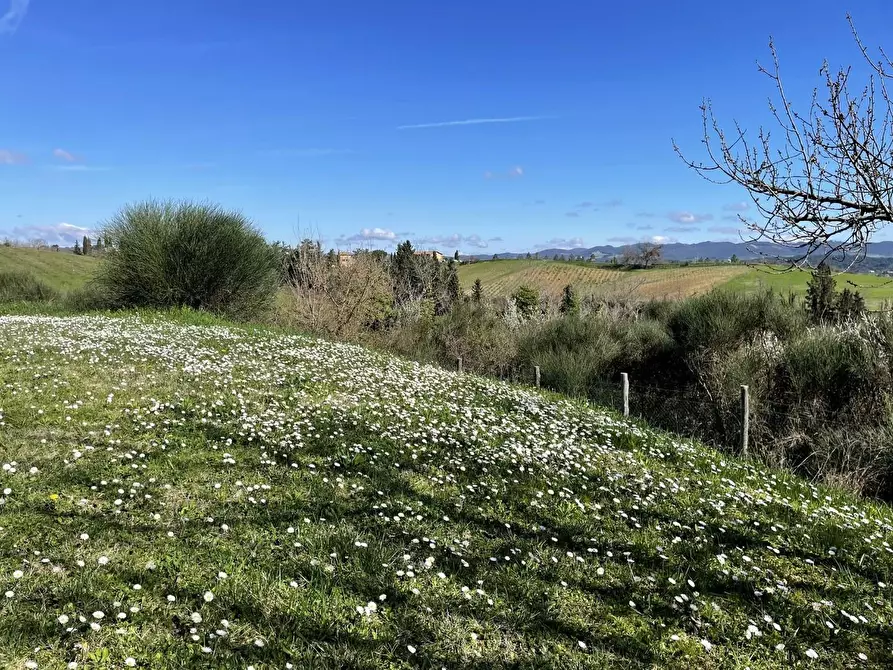 Immagine 23 di Casa colonica in vendita  a Siena