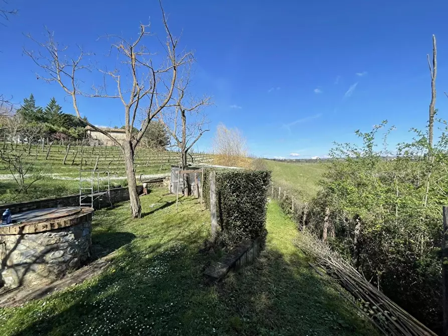 Immagine 24 di Casa colonica in vendita  a Siena