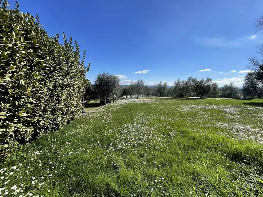 Immagine 21 di Casa colonica in vendita  a Siena