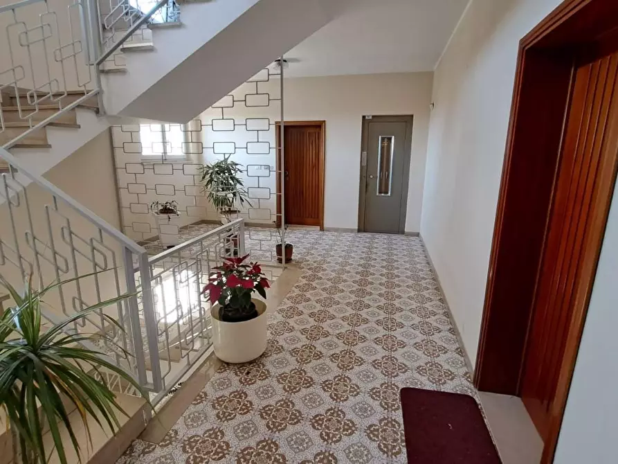 Immagine 15 di Appartamento in vendita  a Rosignano Marittimo