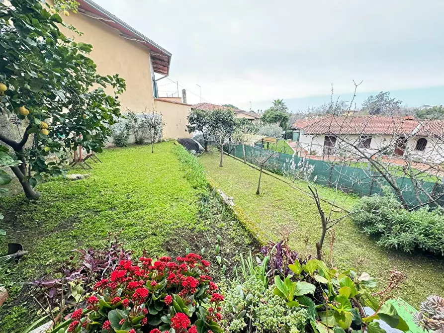 Immagine 19 di Casa indipendente in vendita  a Massa