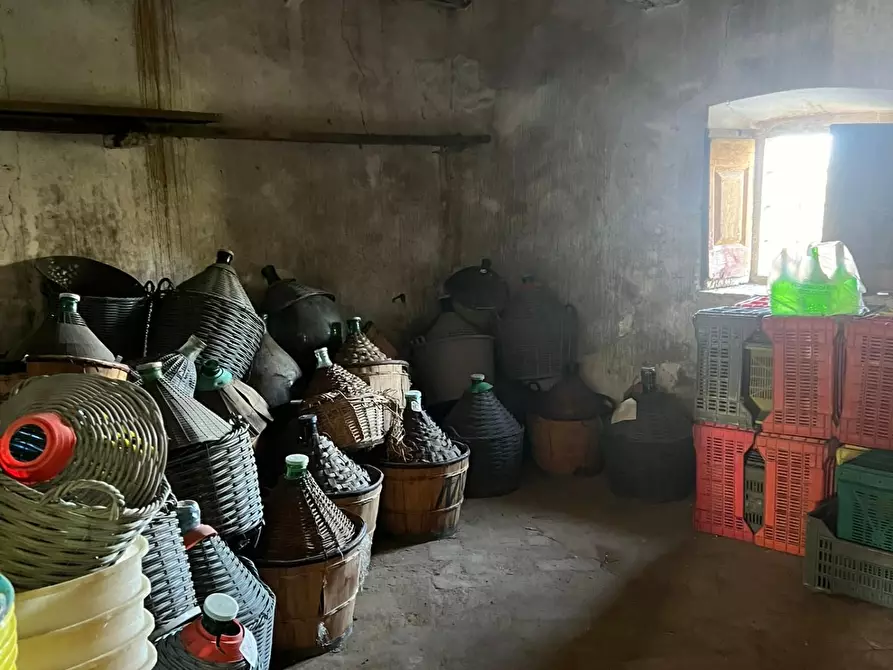 Immagine 13 di Porzione di casa in vendita  a Vinci