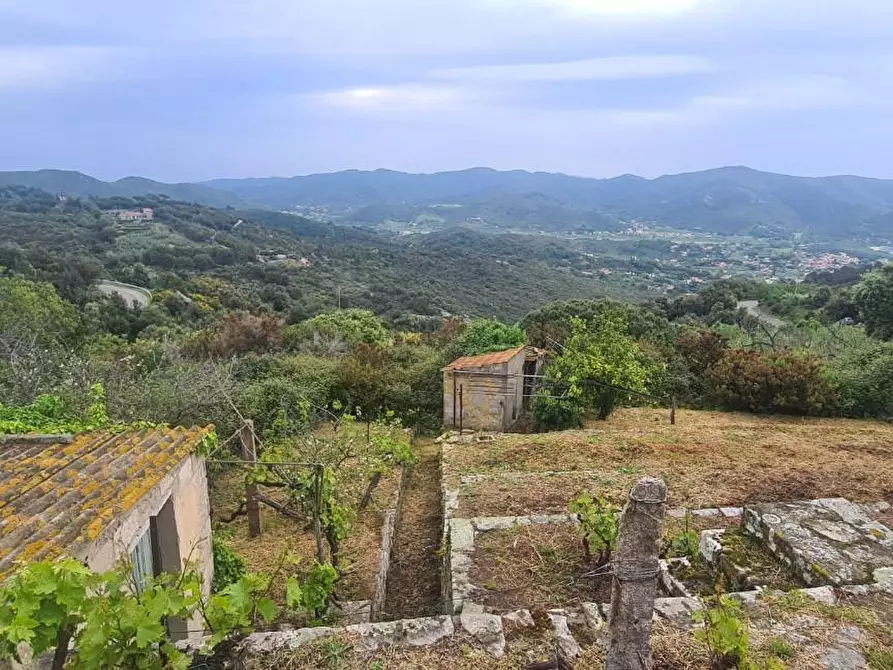 Immagine 25 di Villa in vendita  a Campo Nell'elba