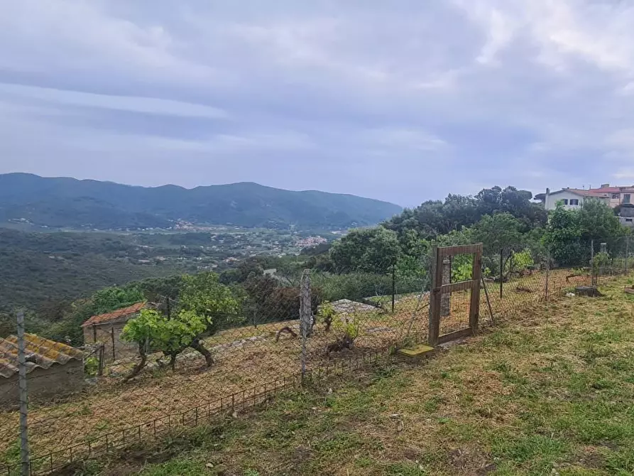 Immagine 22 di Villa in vendita  a Campo Nell'elba