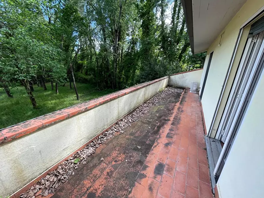 Immagine 26 di Villa in vendita  a Massa