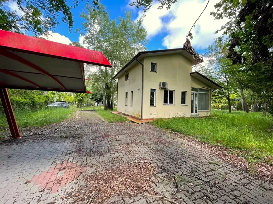 Immagine 5 di Villa in vendita  a Massa