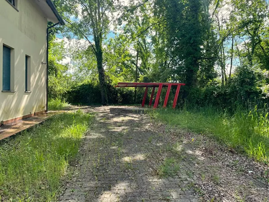 Immagine 6 di Villa in vendita  a Massa