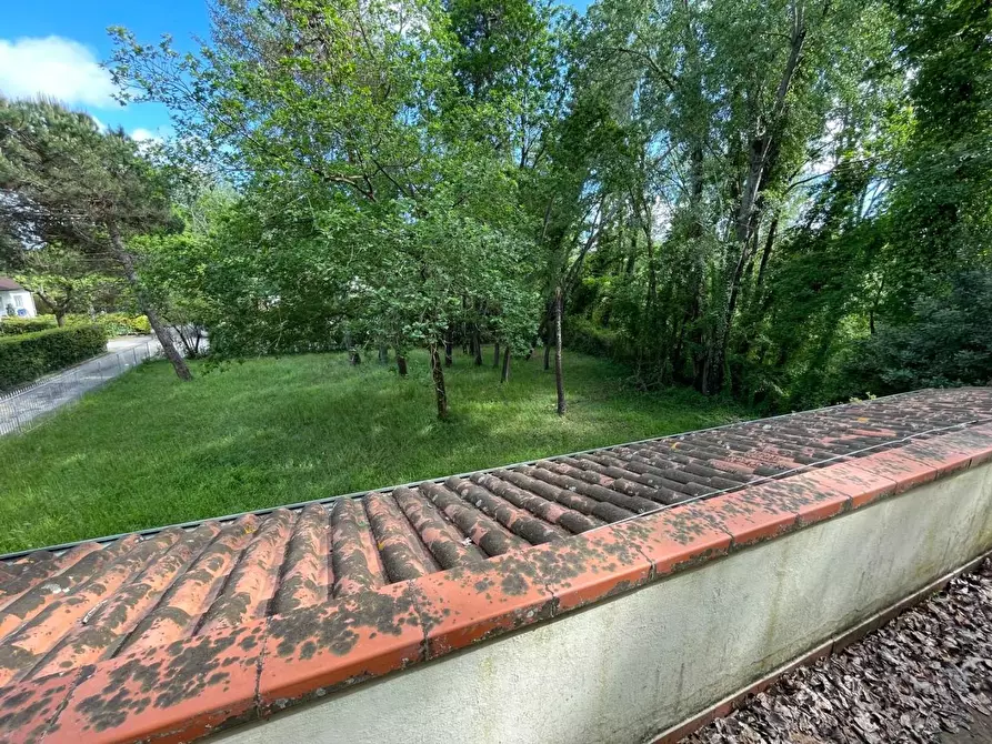 Immagine 27 di Villa in vendita  a Massa