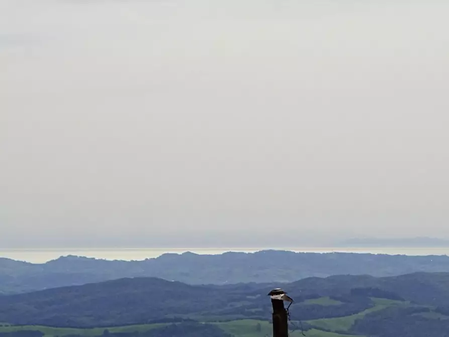 Immagine 3 di Terratetto in vendita  a Volterra