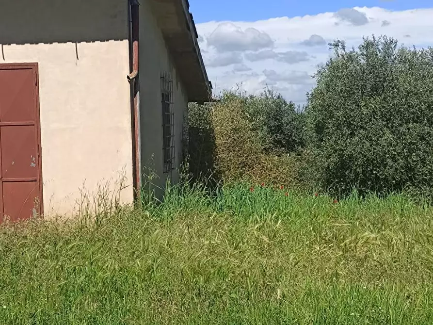 Immagine 1 di Terreno agricolo in vendita  a Capannoli