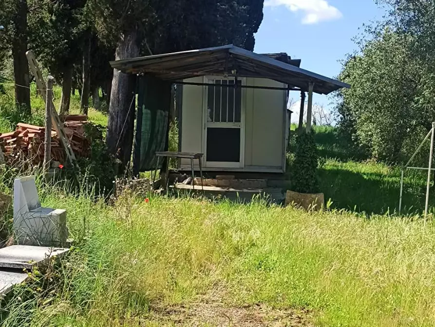 Immagine 7 di Terreno agricolo in vendita  a Capannoli