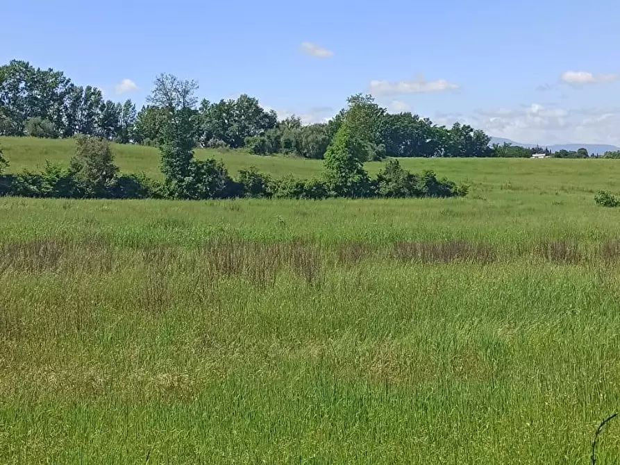 Immagine 11 di Terreno agricolo in vendita  a Capannoli