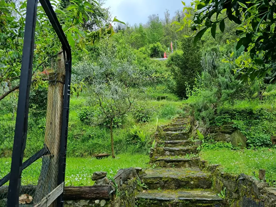 Immagine 4 di Casa indipendente in vendita  a Massa