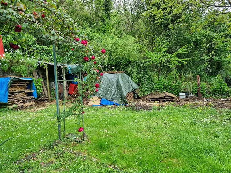 Immagine 9 di Casa indipendente in vendita  a Massa