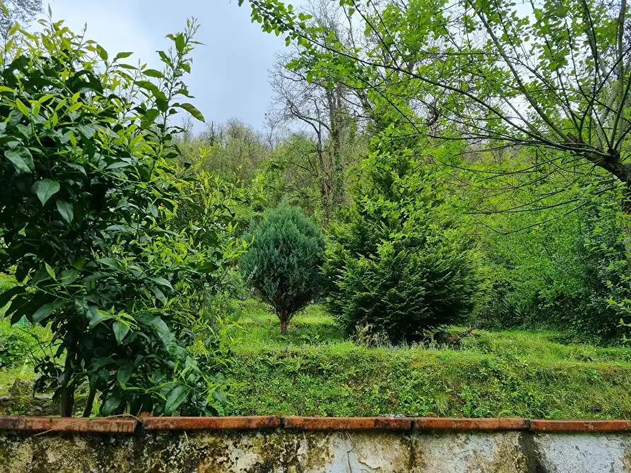 Immagine 5 di Casa indipendente in vendita  a Massa