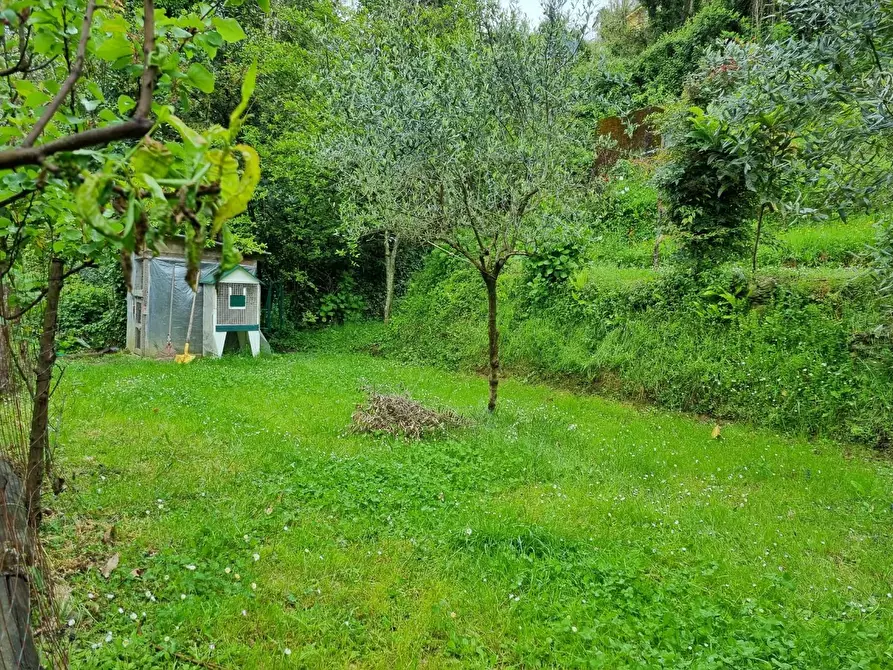 Immagine 6 di Casa indipendente in vendita  a Massa