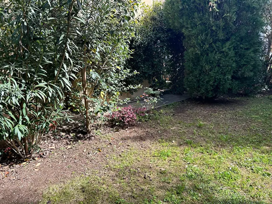 Immagine 20 di Appartamento in vendita  a Empoli